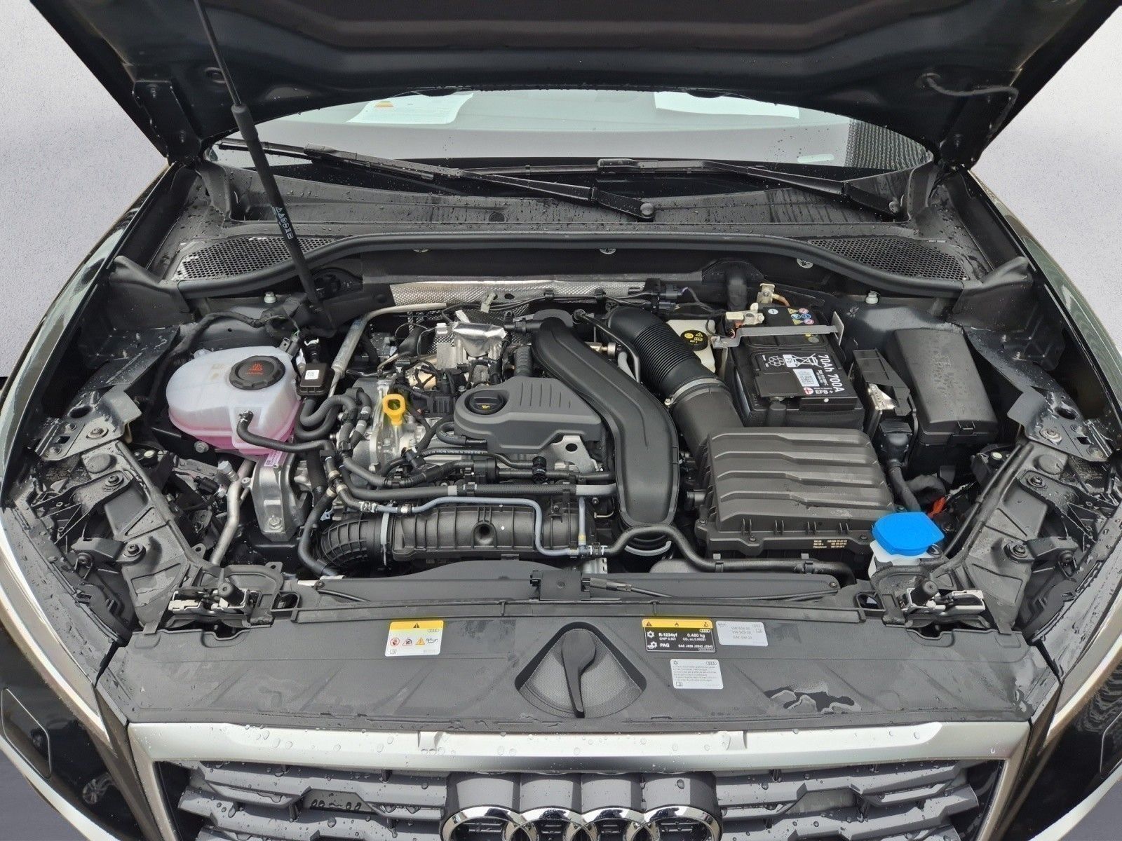 Audi Q2 - Bild 11