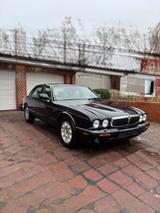 Jaguar XJ8 Executive 4.0 TÜV 2028 - Jaguar XJ: 4.2
