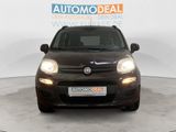 Fiat Panda Lounge ALLWETTER PDC KLIMA METALLIC CD/MP3 - Fiat Panda aus 2012