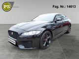 Jaguar XF 30d Chequered Flag Panorama Navi Kamera Leder - Jaguar XF: 30d