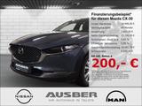 Mazda CX-30 Selection 2WD 360° Bose Ganzjahresreifen H - Mazda CX-30