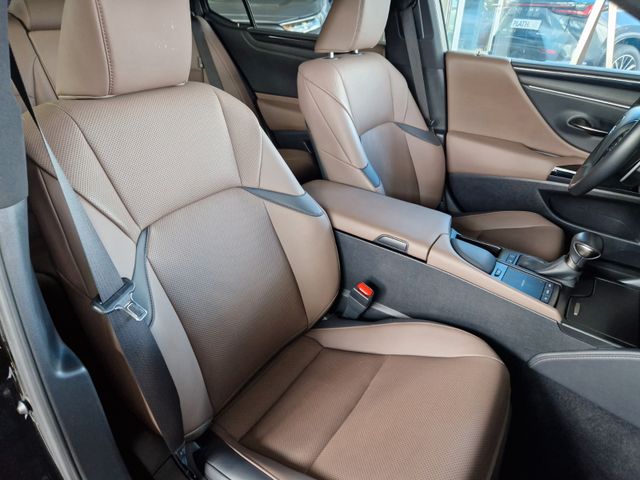 Lexus ES 300  h Busins – Line -Kamera – Bluetooth