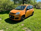 Fiat New Panda 1.2 8V EASY EASY - Fiat New Panda in Hamburg