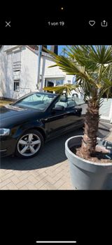 Audi A3 1.2 TFSI S line Cabriolet S line - Audi A3 aus 2010: Line