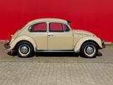 Volkswagen Käfer, Originalzustand mit 77.500 km - Autos aus dem Jahr 1969