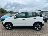 Fiat Panda 1.0 GSE Hybrid City Plus - Fiat New Panda aus 2023