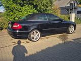 Mercedes-Benz CLK 500 AVANTGARDE AVANTGARDE - Mercedes-Benz CLK 500 Gebrauchtwagen