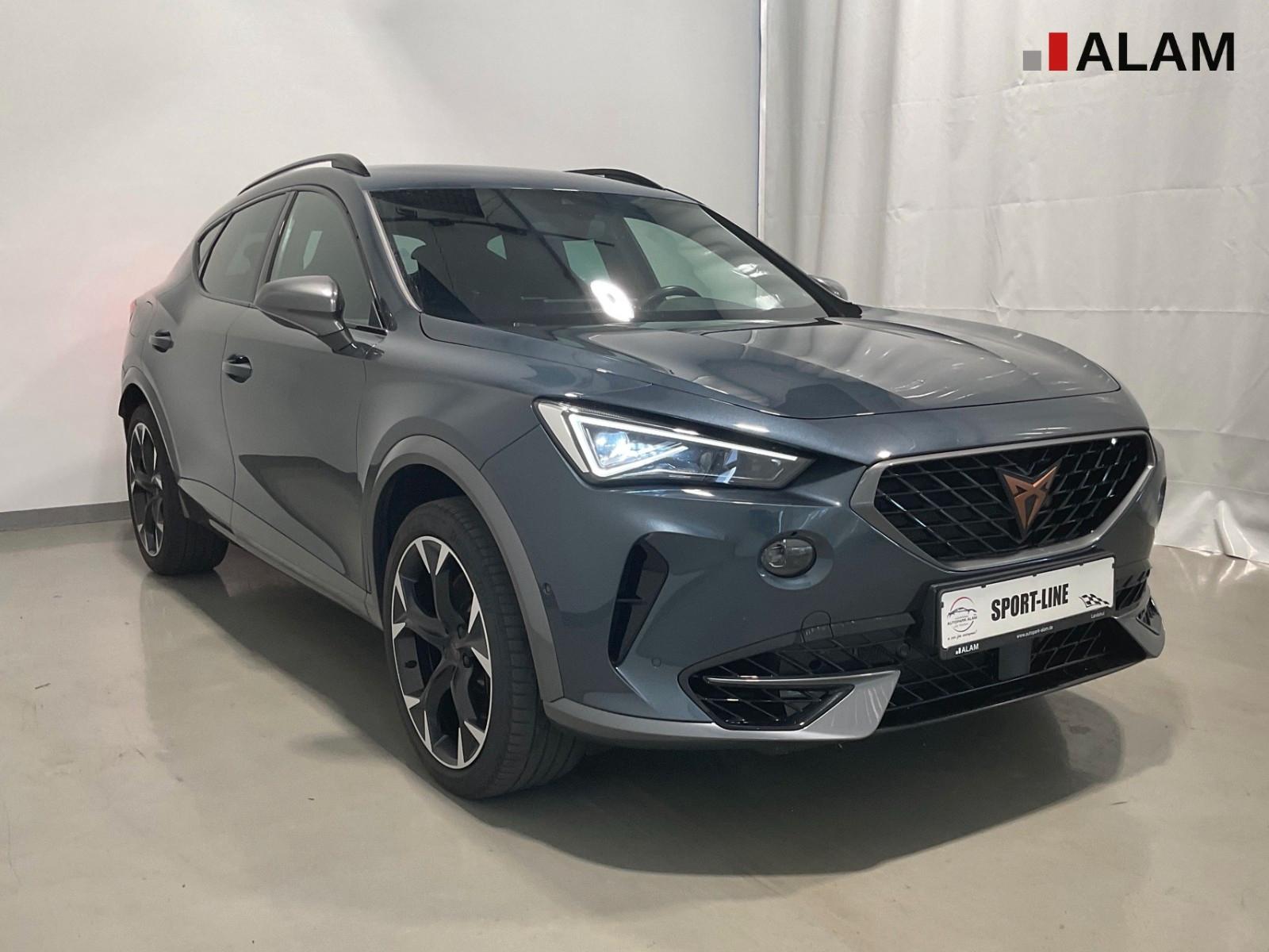 Cupra Formentor VZ 4Drive ACC Beats Matrix LED RFK, миниатюра 5