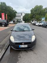 Fiat punto 1.2 TÜV/Zahnriemen neu/inspektion - Fiat Punto: Sportwagen