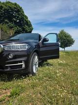 BMW X5 xDrive40d - - BMW X5: Braun