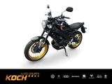 Yamaha XSR 125 Legacy Edition MJ24- Sofort verfügbar! - YAMAHA XSR125 LEGACY