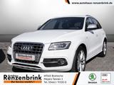 Audi SQ5 3.0 TDI competition quattro XENON+NAVI - Audi SQ5 in Osnabrück