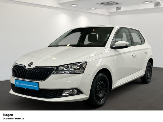 Skoda Fabia 1.0 MPI LED-Tagfahrlicht KLIMA DAB Cool Pl