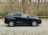 Lexus NX 300h E-FOUR Luxury Line Hybrid-SUV - Lexus Gebrauchtwagen in Berlin