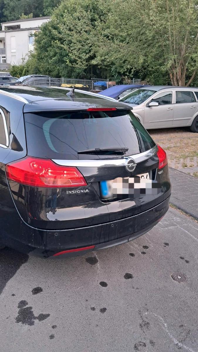 Opel Insignia 2013 — photo 6