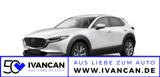 Mazda CX-30 2.5i 140PS Exclusive-Line
