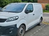 Fiat Scudo Transporter - Fiat: Transporter