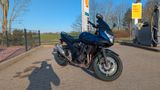 Suzuki HU (05/2027) NEU! GSF 650 SA Bandit mit ABS - SUZUKI GSF 650 BANDIT