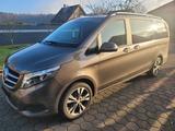 Mercedes-Benz  V 250 Lang Avantgarde 7Sitzer - : Van, Mercedes