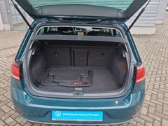 Fahrzeugabbildung Volkswagen Golf VII 1.0 TSI DSG APP NAVI ACC