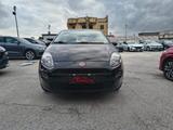 Fiat FIAT Punto 1.2 8V 5 porte - gebrauchte Fiat Punto aus dem Jahr 2015