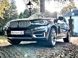 BMW X5 xDrive40e - High Executive - Neue Hybrid Akku - BMW: E40