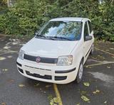 Fiat Panda 1.1 1. Hand Unfallfrei 1Jahr Garantie inkl - Fiat Panda in Gelsenkirchen