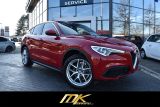 Alfa Romeo Stelvio SUPER Q4 280PS*BI-XEN*NAV*LEDER*20 ZOLL* - Alfa Romeo Stelvio aus 2019
