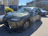 Lexus UX 300e - ACC-Belü.Sitze-Memory-Leder-Kamera-17Z - Lexus aus 2021