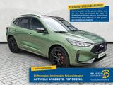 Ford Kuga 2.5 PHEV ST-Line X Styling-Paket Black AHK - Ford Kuga mit Hybrid-Antrieb: Grün