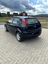 Fiat Punto 1.4 8V Dynamic Dynamic - Fiat Punto aus 2009: 1.4