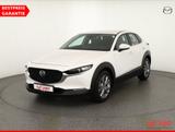 Mazda CX-30 2.0 M-Hybrid Selection Bose ACC Navi 360°