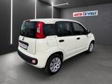 Fiat Panda 1.2 Pop Klimaanlage Bluetooth - Fiat Panda: Weiß