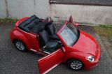 Volkswagen Beetle 1.2 TSI DSG BMT Design Cabriolet Design - Volkswagen Beetle: Rot, Cabrio