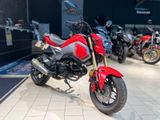 Honda MSX125 *SERVICENEU*ARROW*ZUBEHÖR* - Offers matching your search criteria