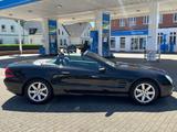 Mercedes-Benz SL 500 ROADSTAR NAVI/XENON/TÜV-NEU - Mercedes-Benz SL 500