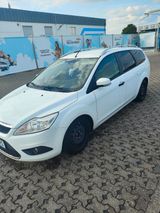 Ford Focus 1,8 White Magic Turnier White Magic - Ford Focus mit Benzin-Antrieb: Kombi, Magic Turnier