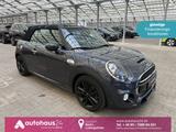 MINI Cabrio Cooper S  Kamera|ParkAssist|HarmanKardon - MINI Cooper S Cabrio: Automatik