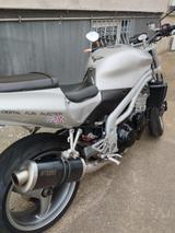 Triumph Daytona 955i - TRIUMPH 955 DAYTONA