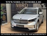 Skoda Enyaq iV 80 x Loft Pano/Wärmepumpe/20/Kamera - Skoda Enyaq 80x Gebrauchtwagen