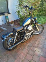 Harley-Davidson Sportster 1200XL Custom Anniversary Edition  - HARLEY-DAVIDSON ANNIVERSARY EDITION
