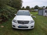 Mercedes-Benz GLK 250 CDI 4MATIC BlueEFFICIENCY - - Mercedes-Benz GLK 250: Cdi 4matic Blueefficiency