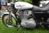 Harley-Davidson Sportster 883 Custom - HARLEY-DAVIDSON 2007 883 SPORTSTER
