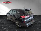 Ford Kuga ST-Line leichter Hagelschaden Sportpaket - Ford mit Benzin-Antrieb: Hagelschaden