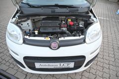 FIAT Panda 1.2 8V Pop 03/2027 TÜV
