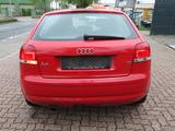 Audi A3 1.6 Attraction"TÜV 02.2027" - Audi A3 aus 2003: 1.6