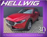 Mazda CX-30 2.0l Skyactiv-X Centre-Line Navi Kamera 20 - Mazda CX-30 Tageszulassungen