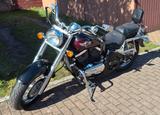 Kawasaki VN 800 classic 19 TKM 2. Hd aus Nachlass - KAWASAKI VN 800A