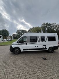 Carado CV 600 * Modell 2025 *sofort verfügbar*