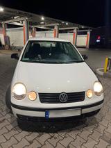 Volkswagen PL Registrierung Polo 1.9 SDI. - Volkswagen Polo: Sdi